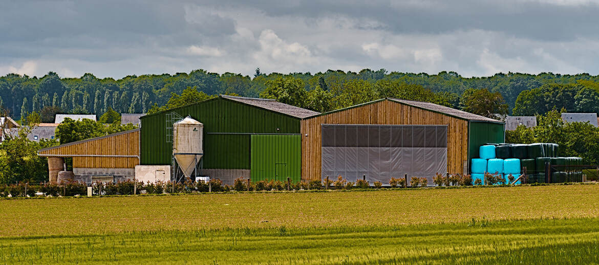 Ruralité (13)