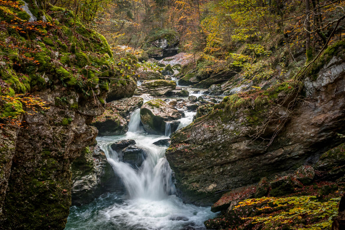 Au fil de l'eau