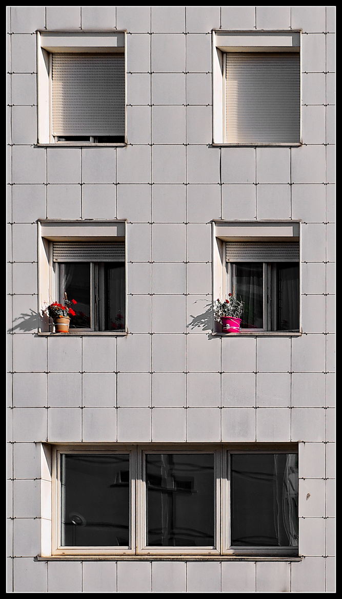 Fenêtres avec pots