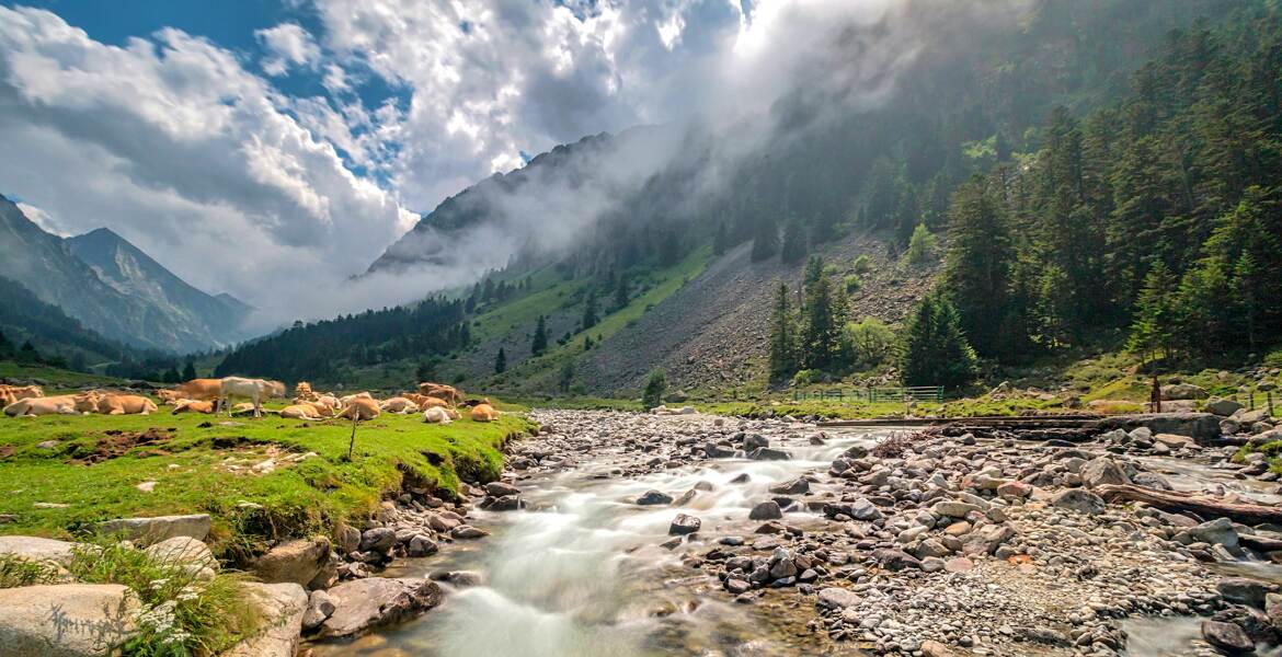 Elles sont heureuses !