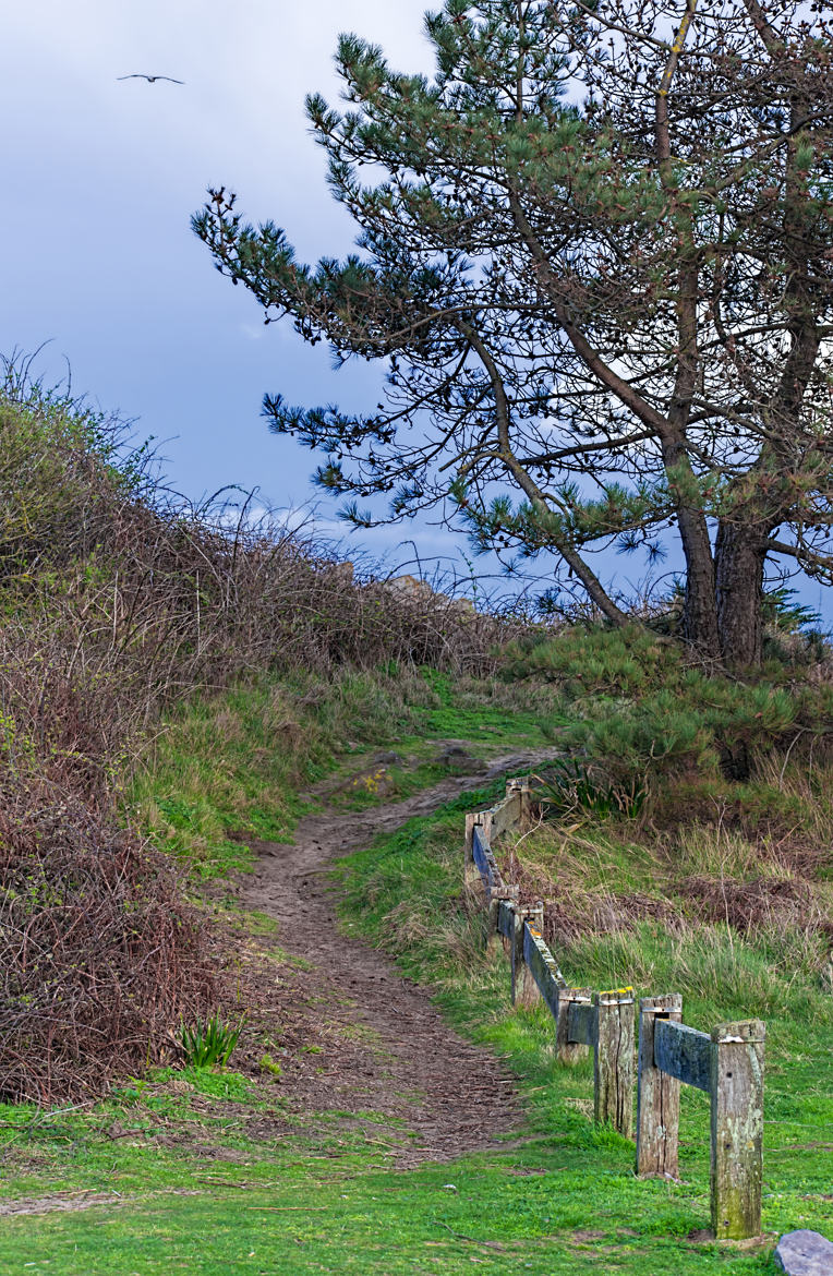 Chemin de bord de mer