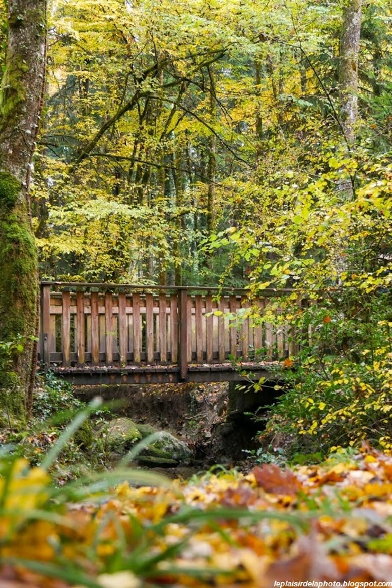 En traversant la rivière...