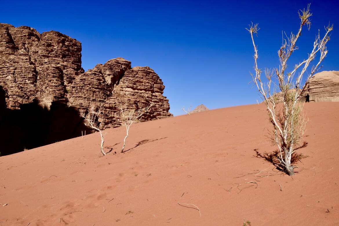 Wadi Rum