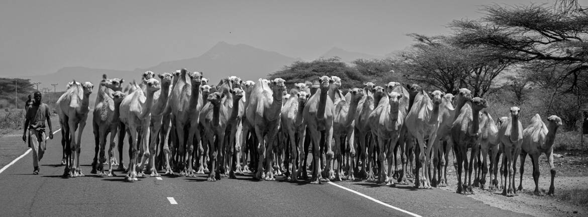 Obstacle sur la route