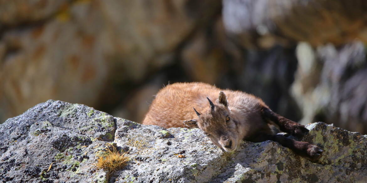 Enfin sur mon canapé!