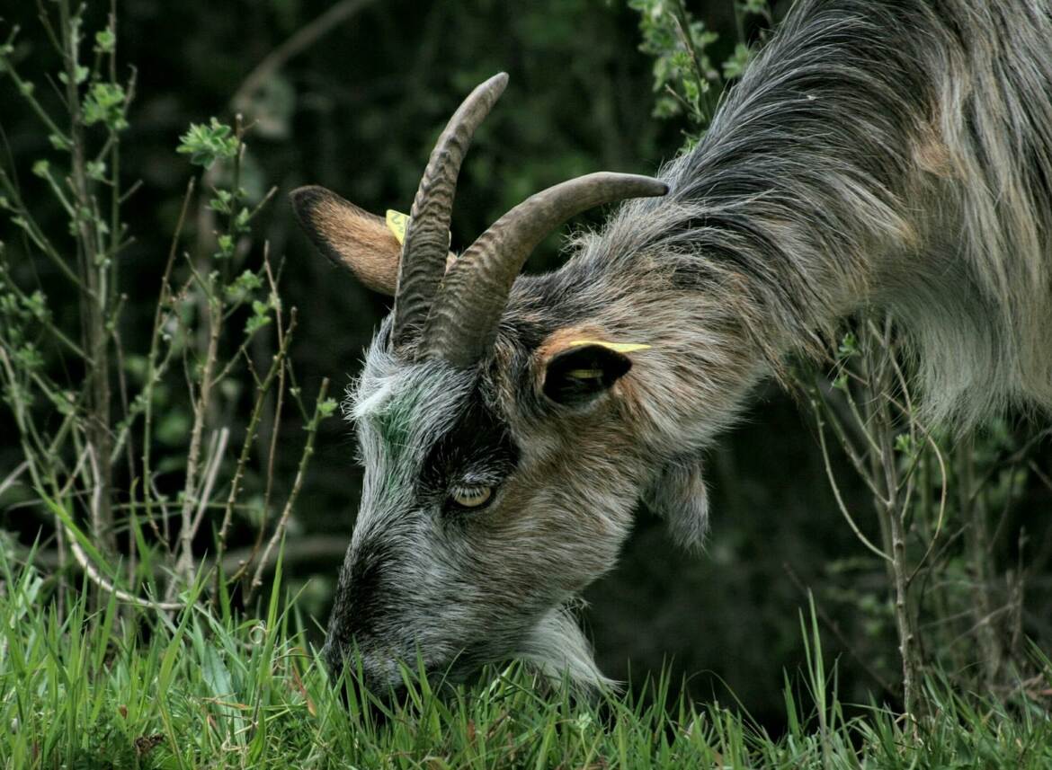 Occupée... ne pas déranger