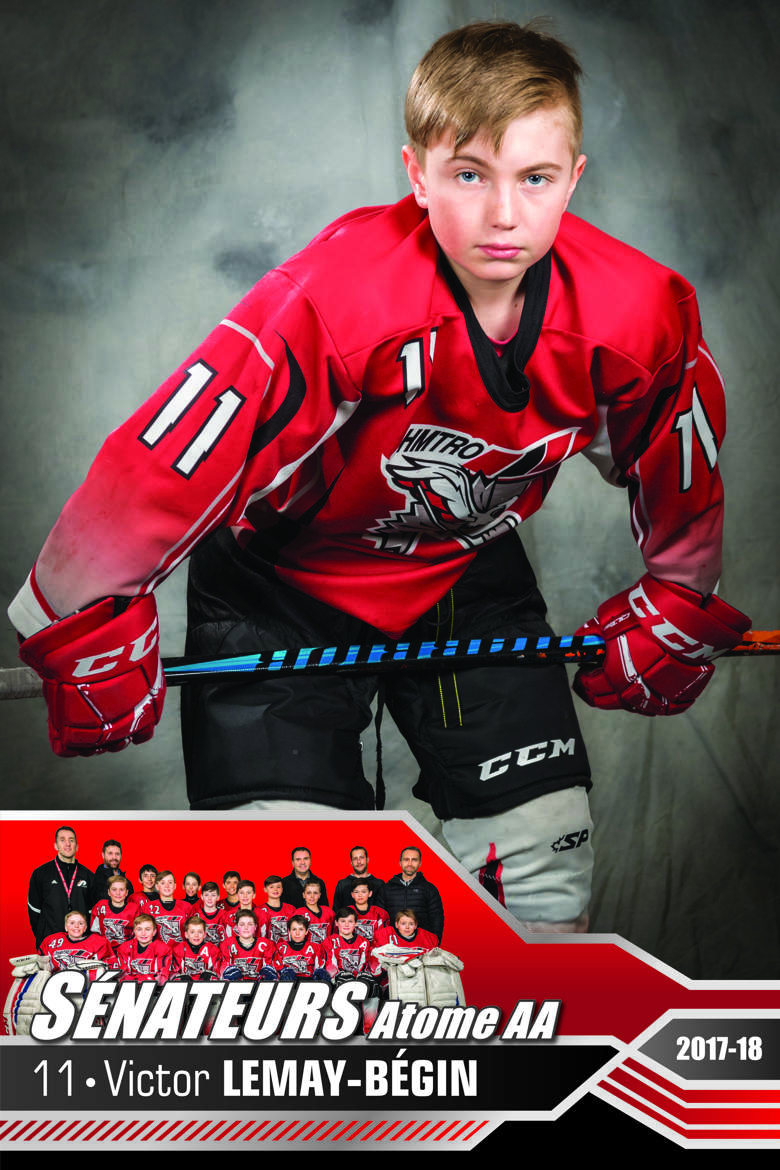 Poster de Joueur de Hockey