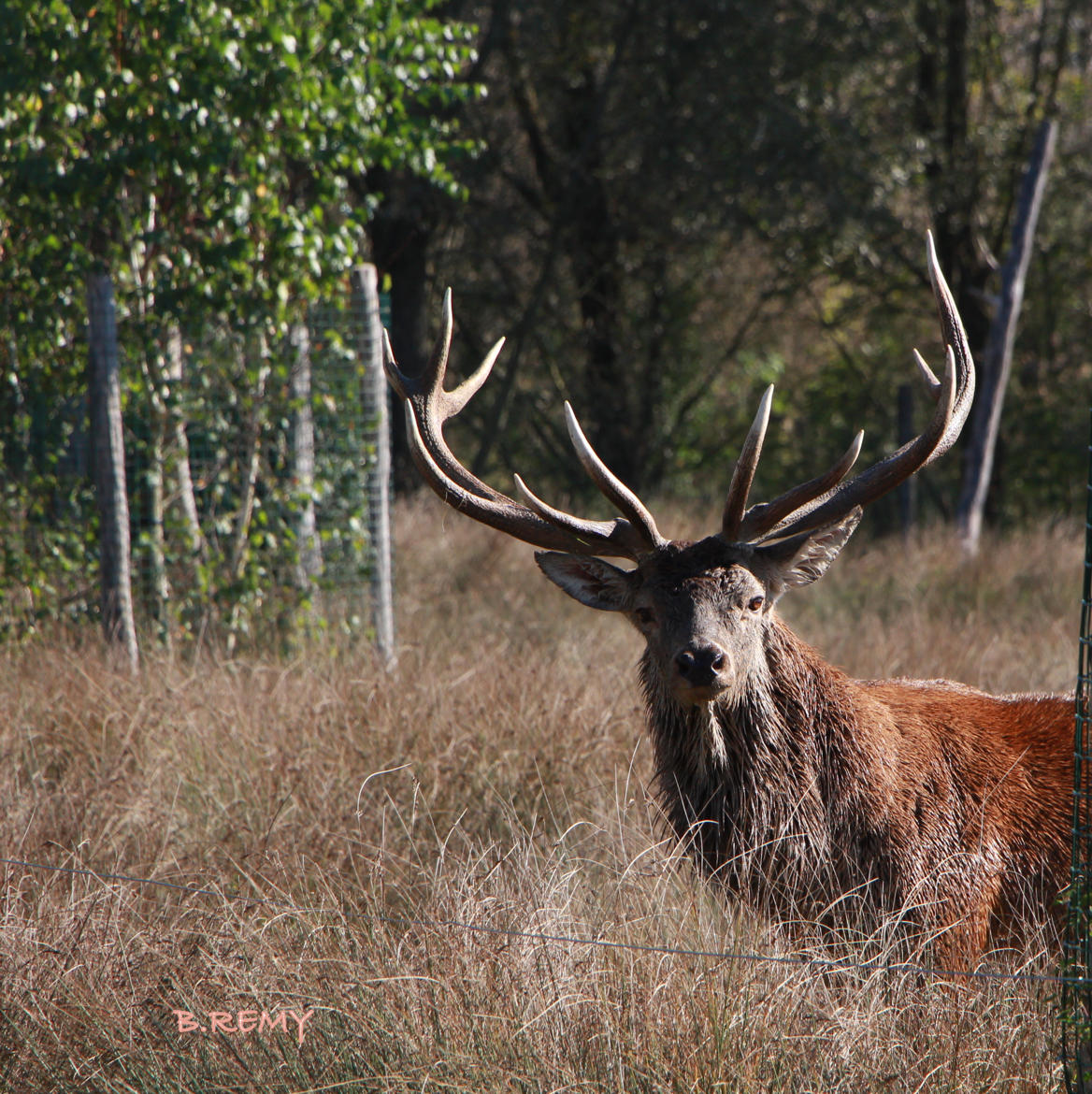 rencontre