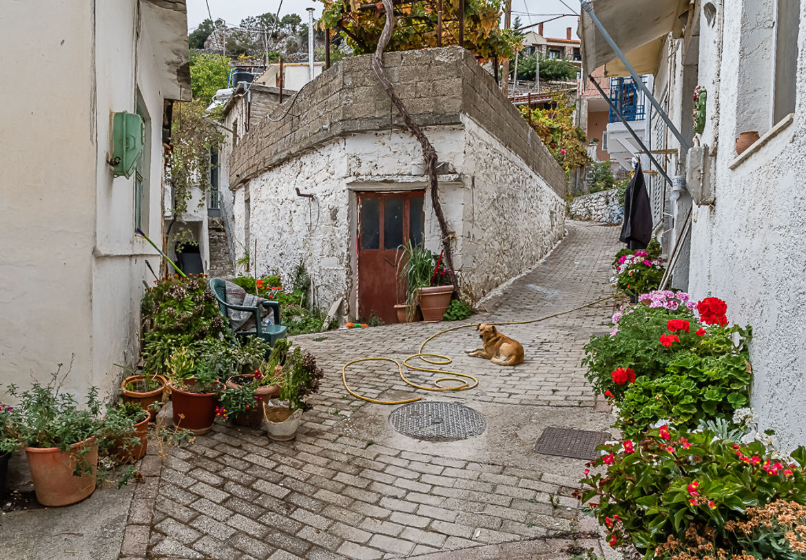 dans la Crête profonde, ruelle 4