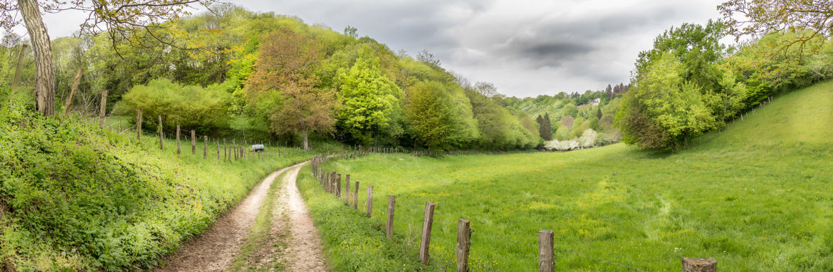 LA FORET ISEROISE