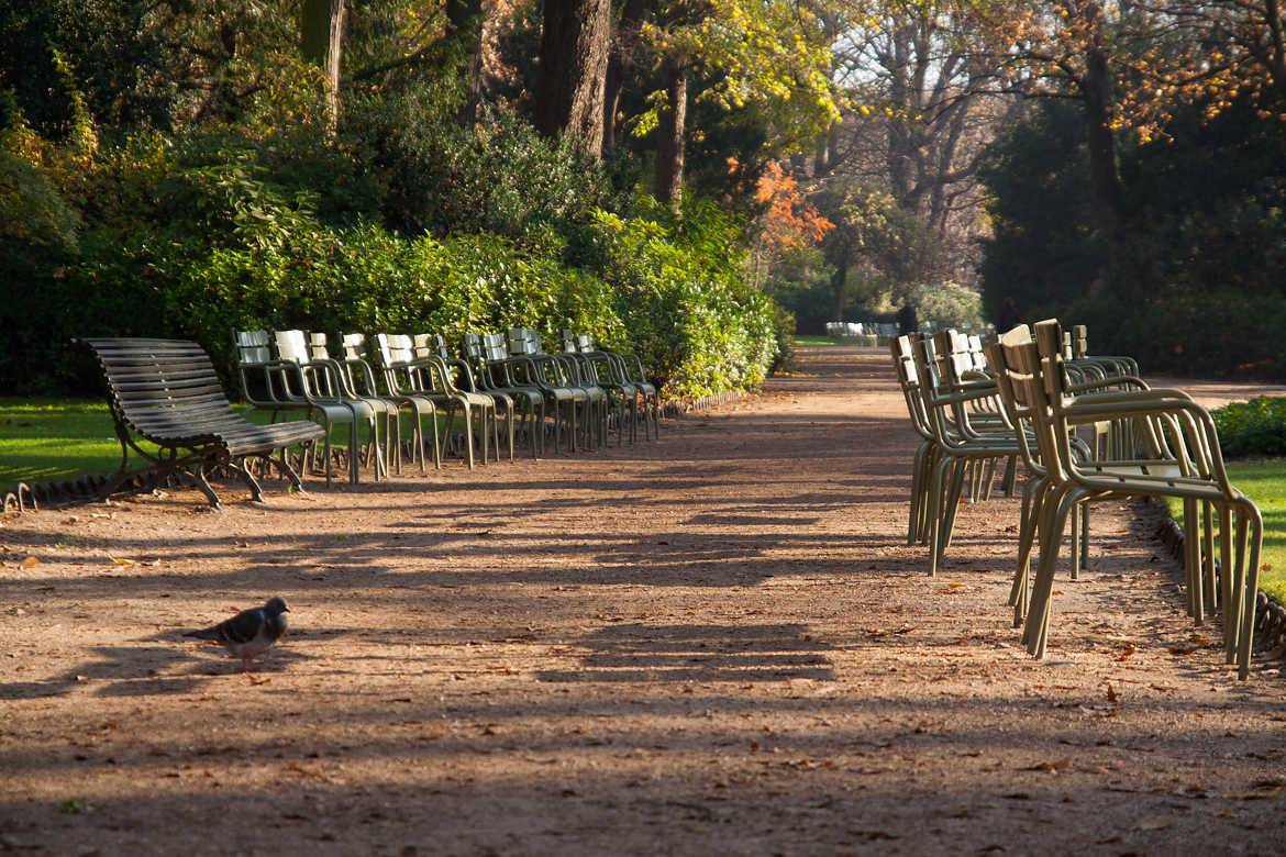 jardin du Luxembourg