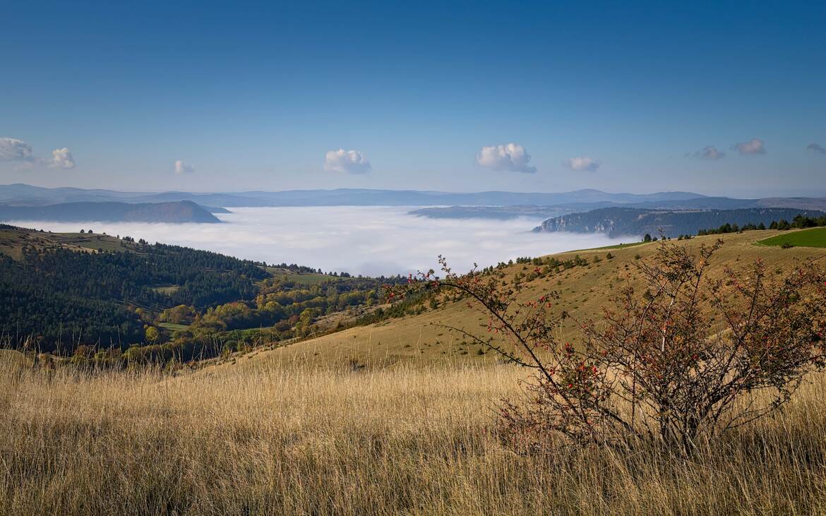 Les gorges du Tarn dans la brume