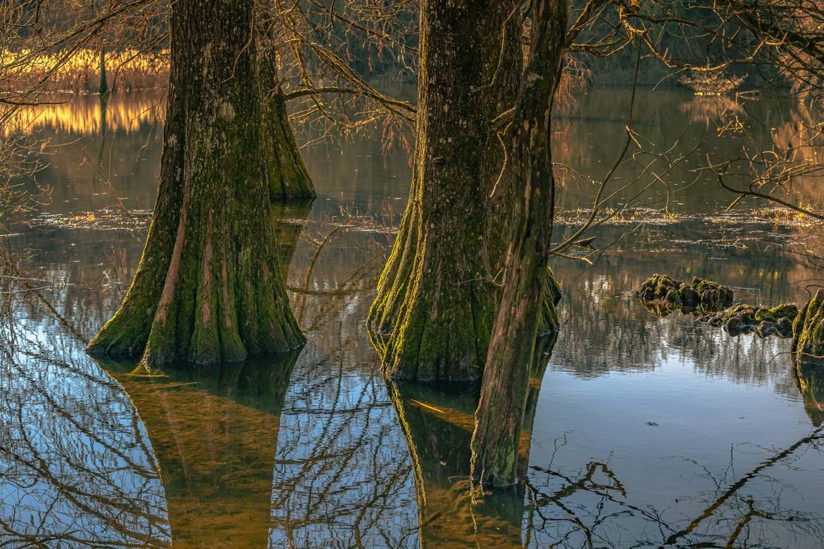 Reflet d'hiver