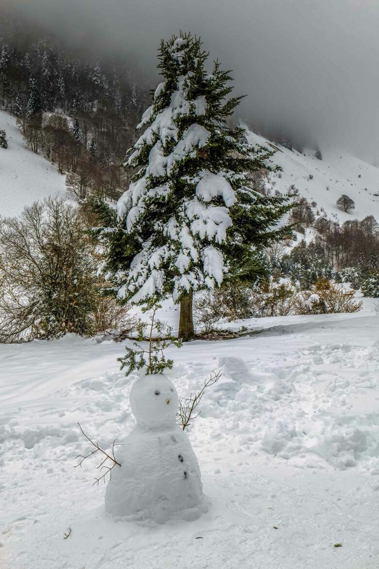Bonhomme de neige