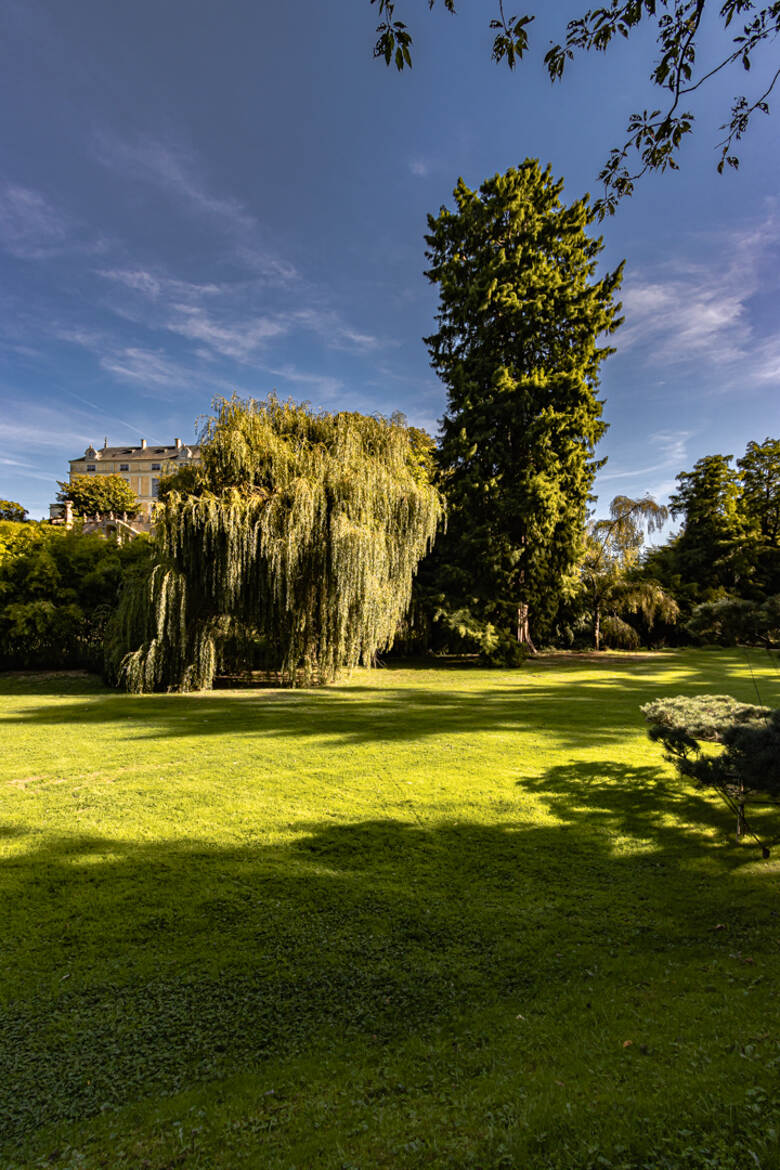 ombre et lumière château Colbert