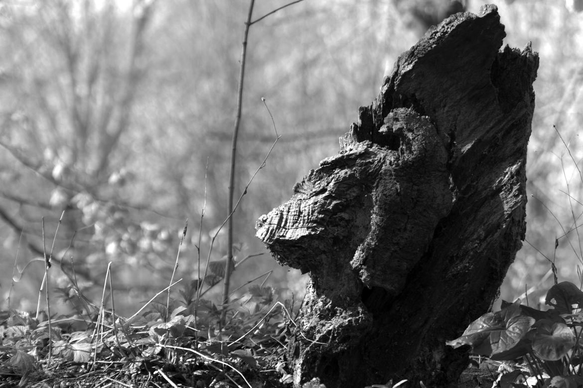 L'homme de bois