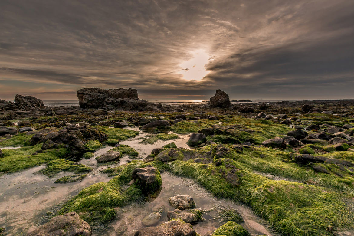 Berck à marée basse