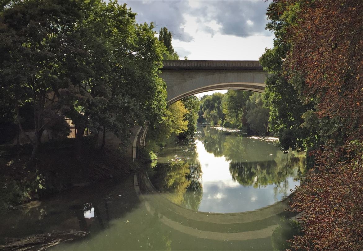 Mise en Seine