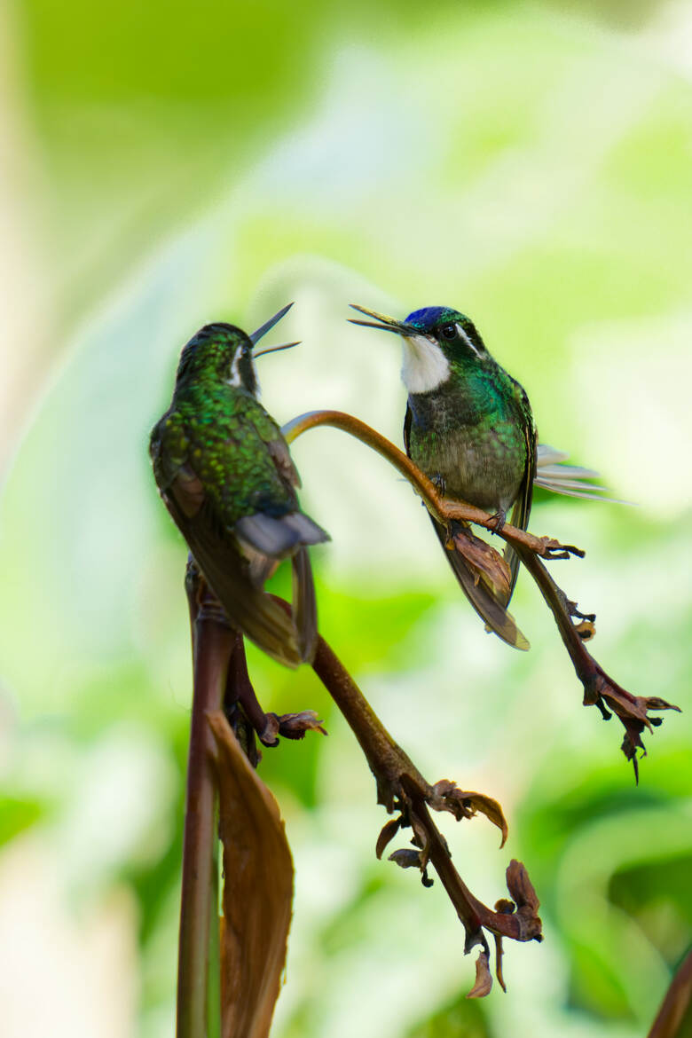 Discussion passionnée