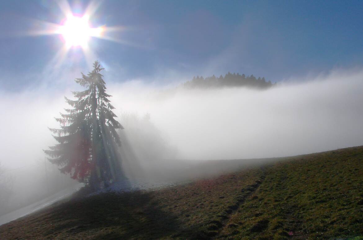 le brouillard envahissant