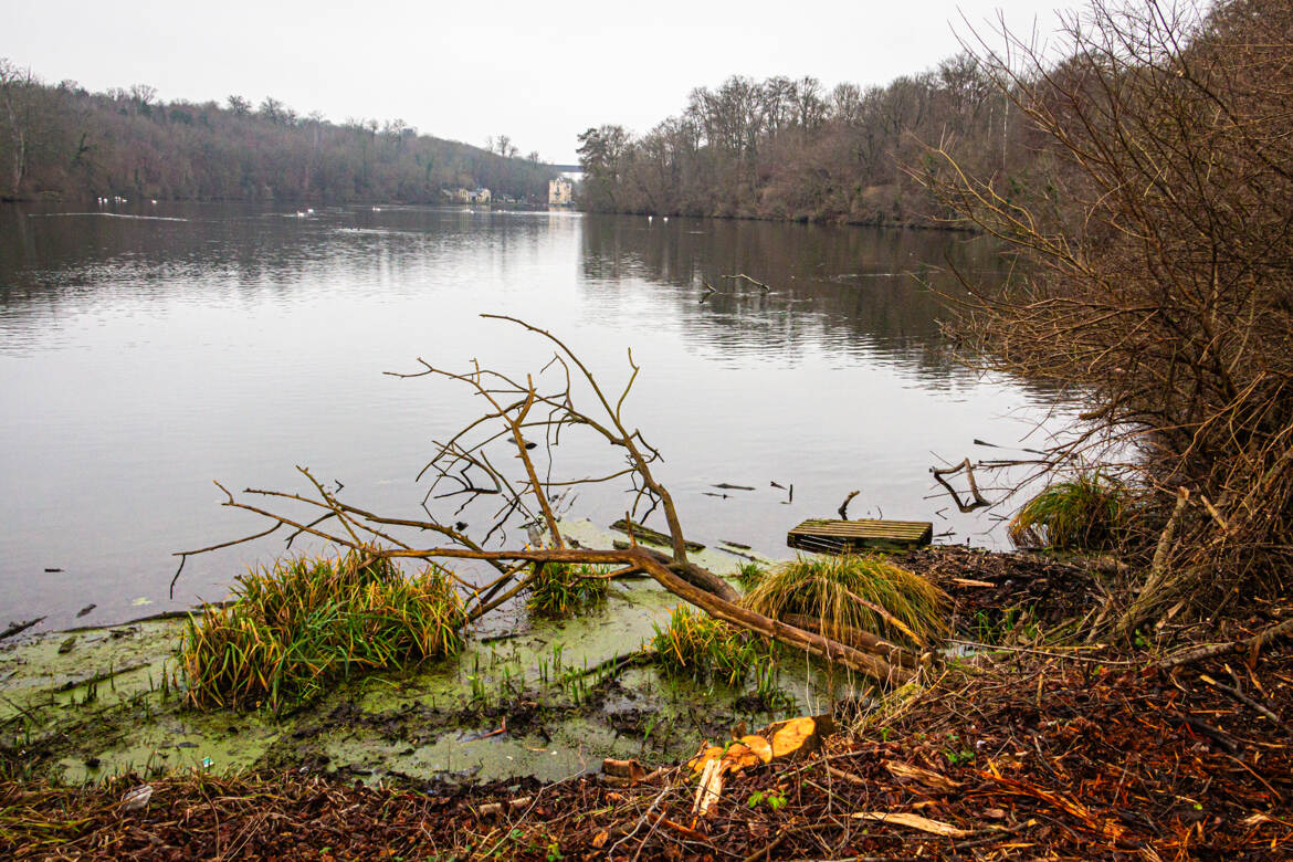 Le Château de la Reine Blanche