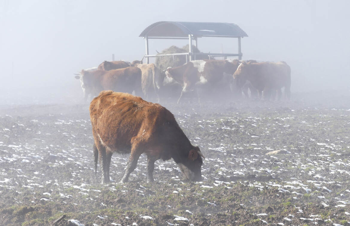 Un léger brouillard