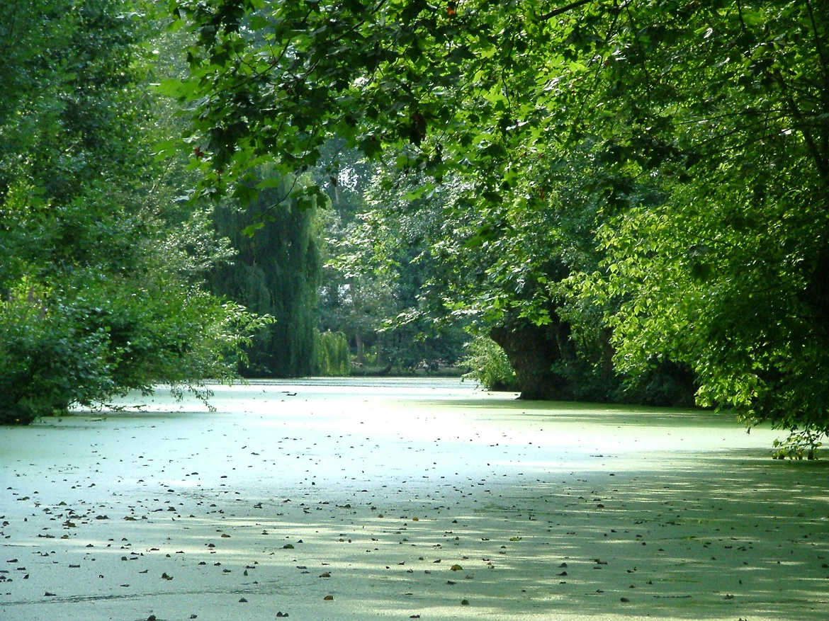 marais poitevin