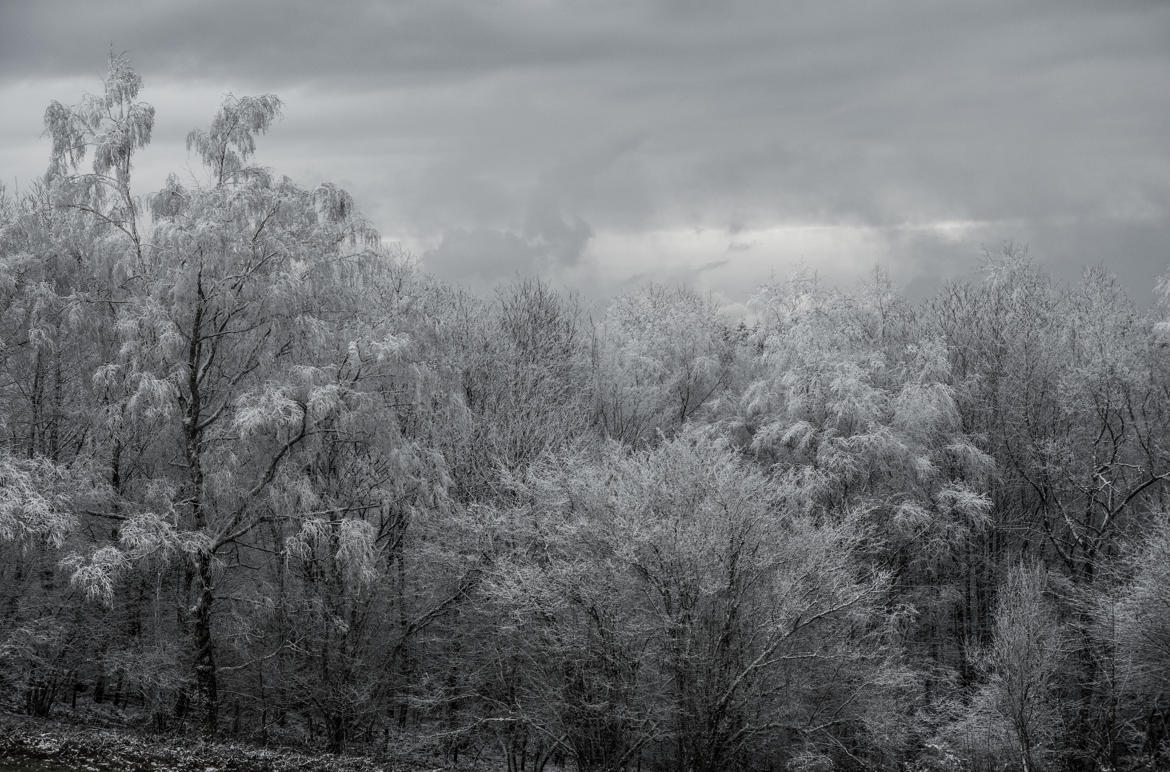 50 nuances de gris