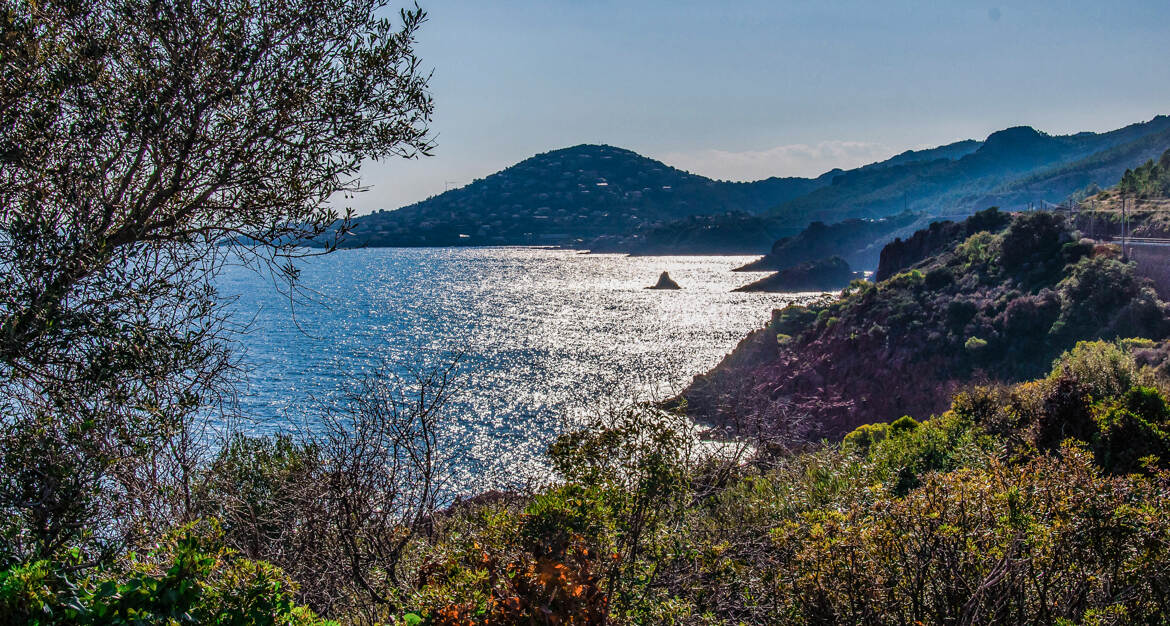Le Massif de L'Estérel 3