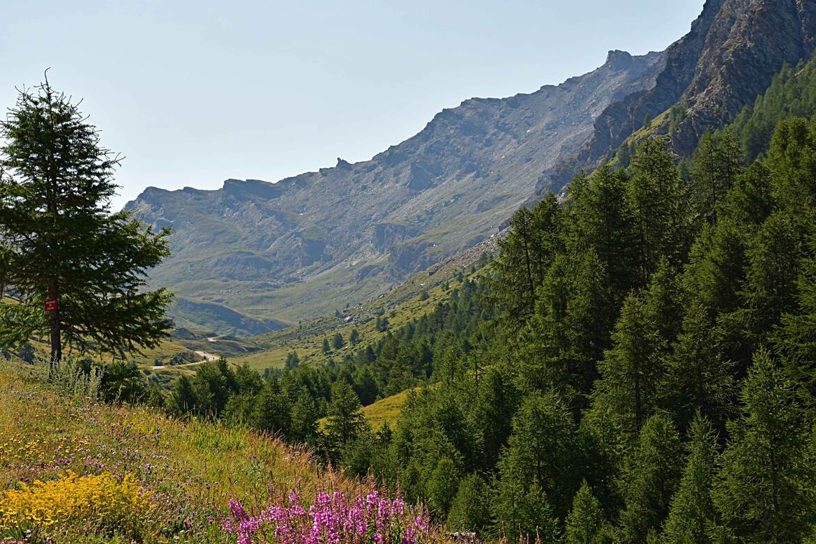 Molines en Queyras