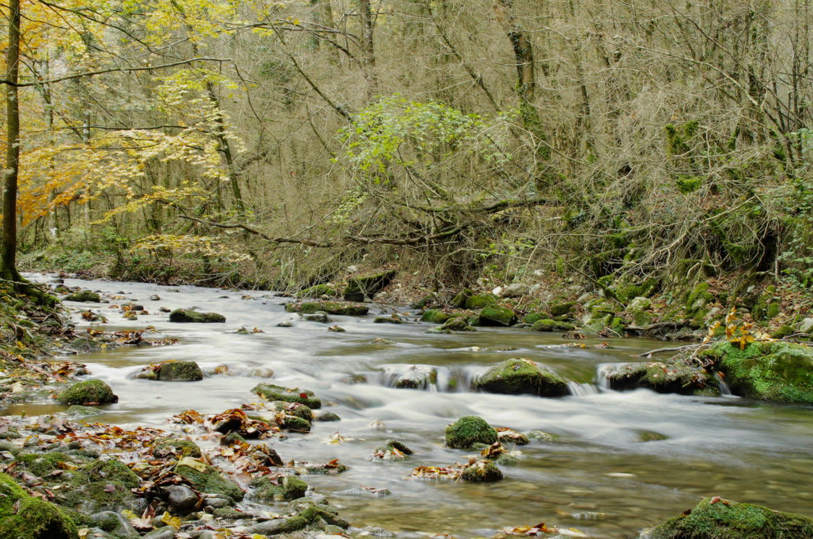 La Gervanne gorge d'Omblèze