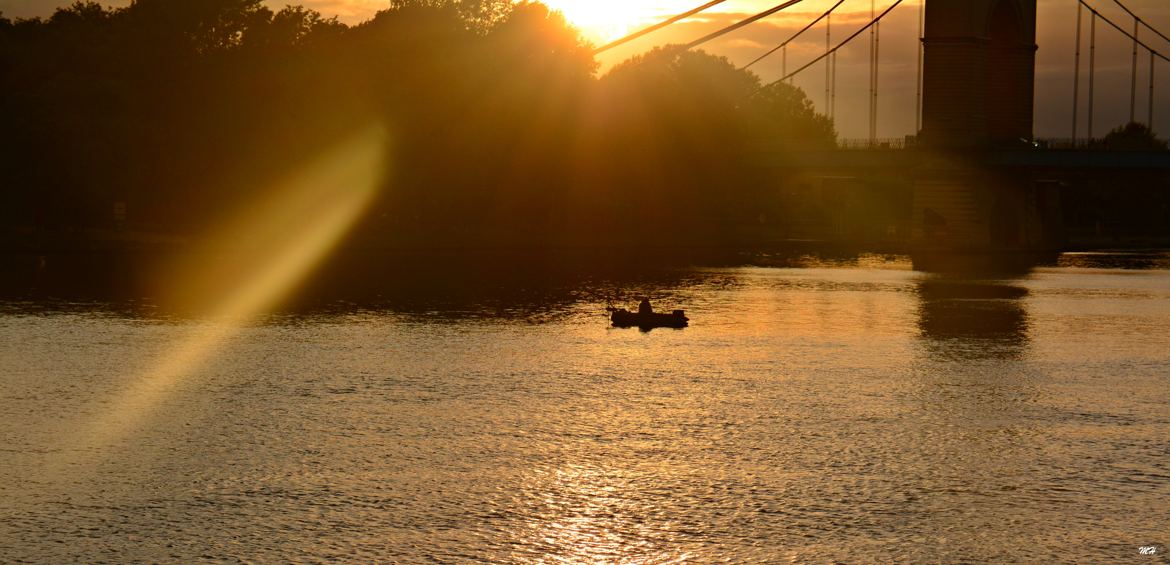 Un soir sur la Seine