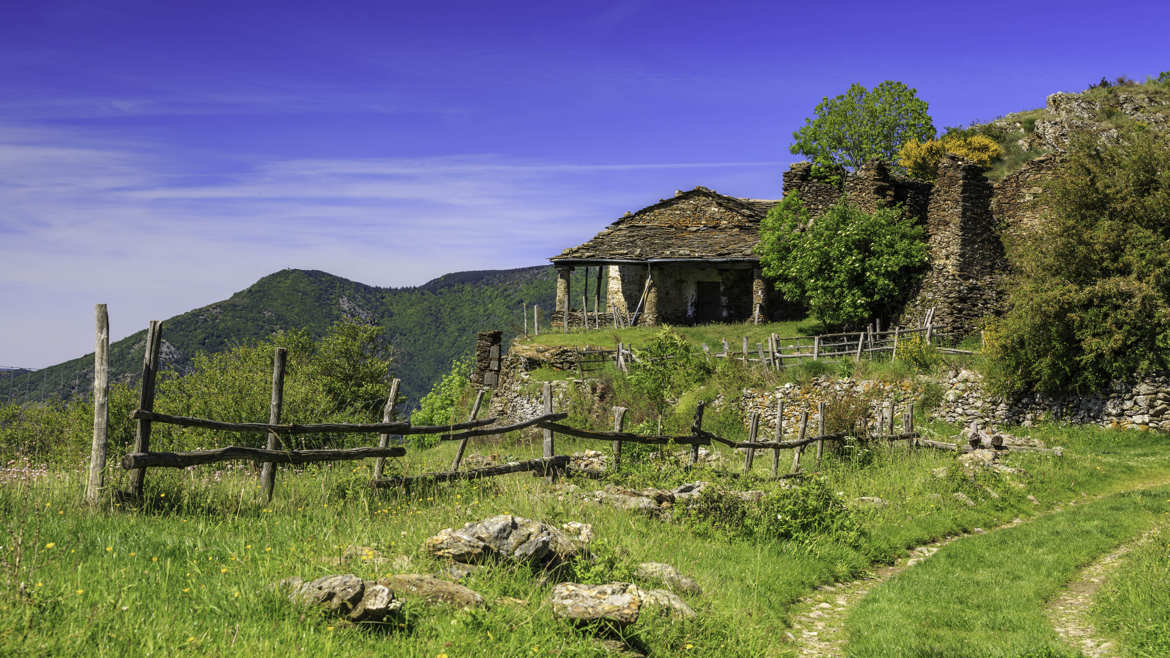 Sur le chemin de transhumance