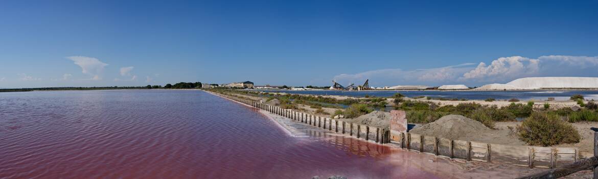 Les salins du midi
