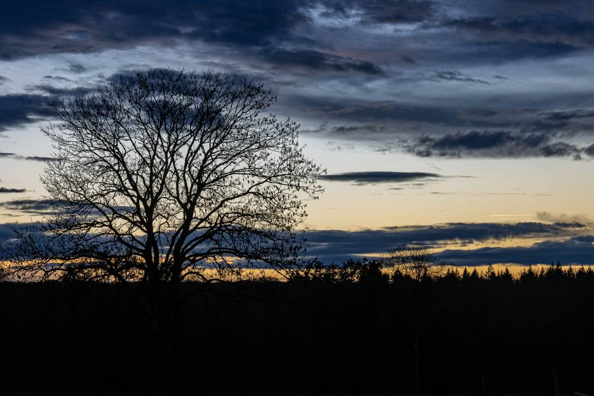 Crépuscule des dieux automnal