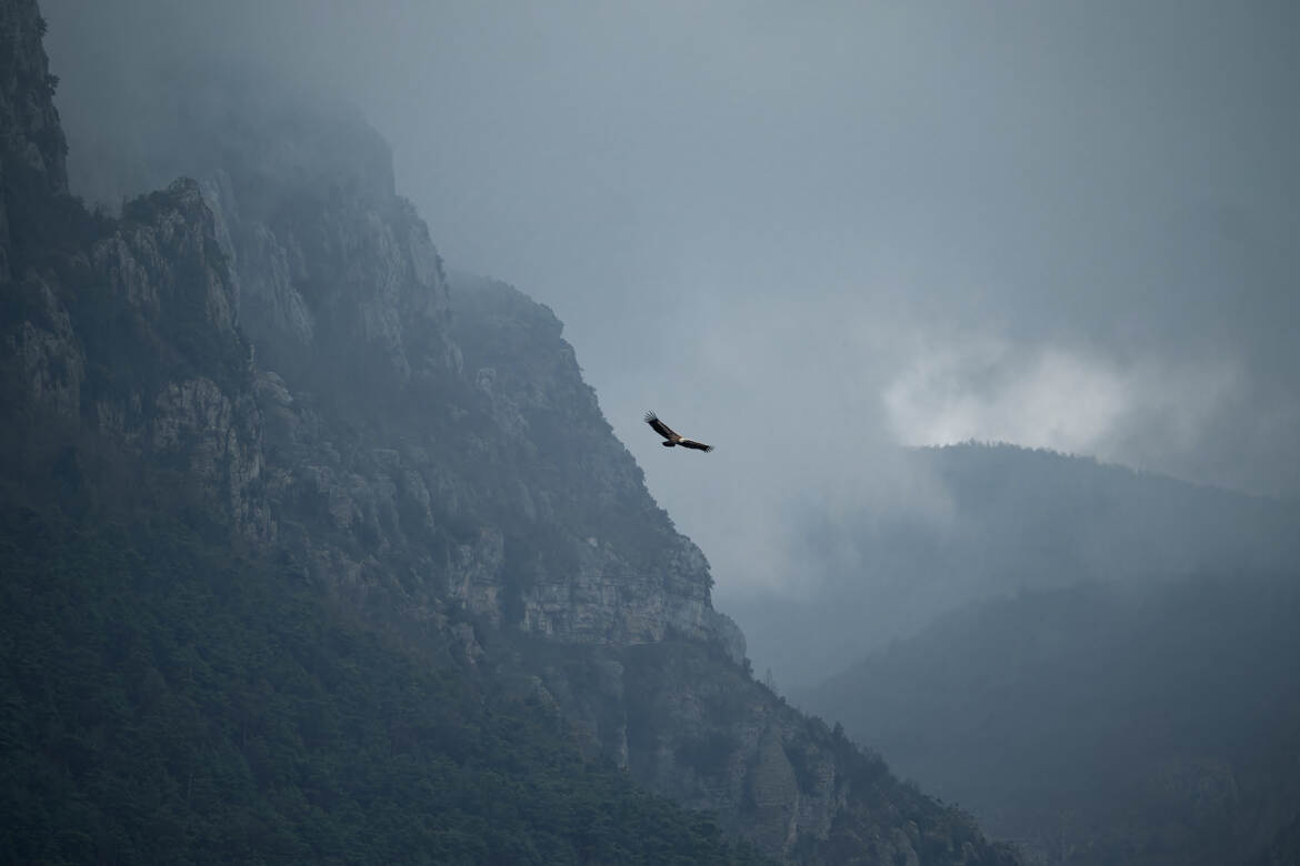 Sorti de nulle part...