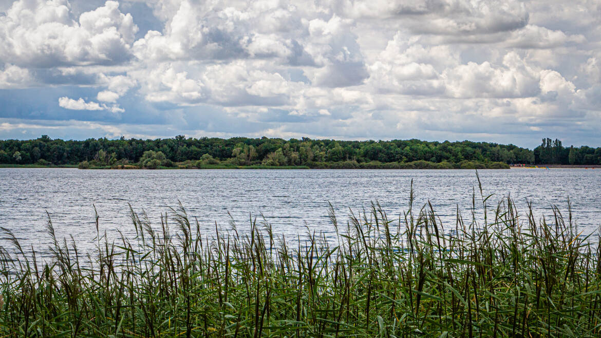 Lac du Der-Chantecoq