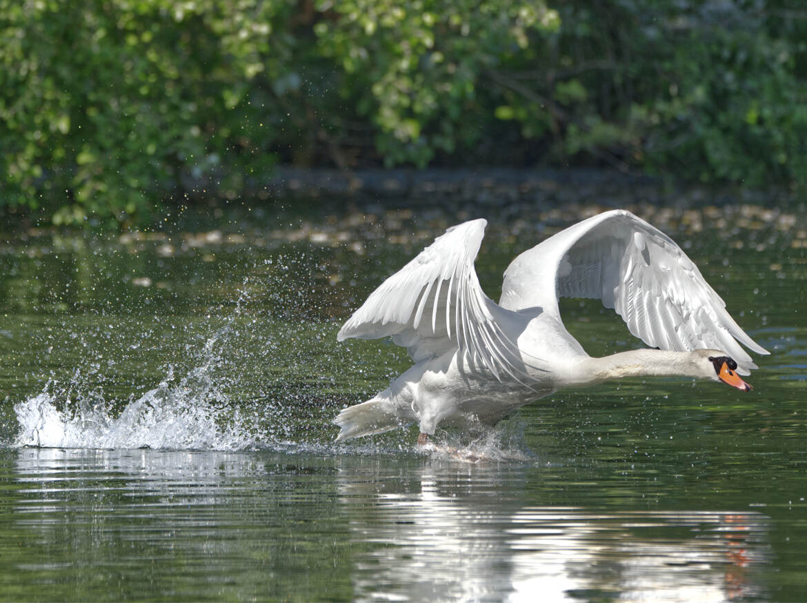 Poussez-vous!!J'arrive