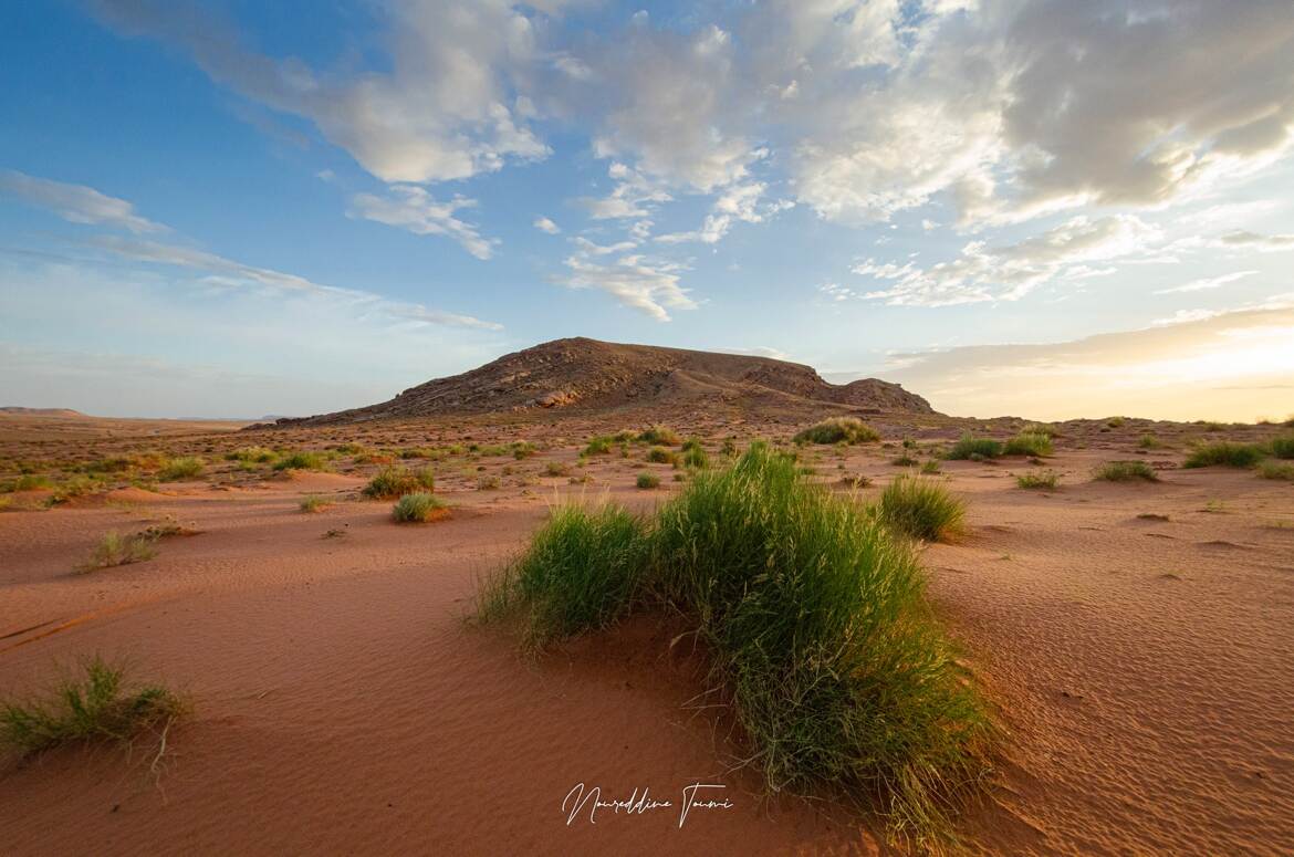Au pays des sables
