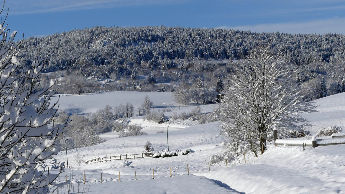 De ma fenêtre... (4)