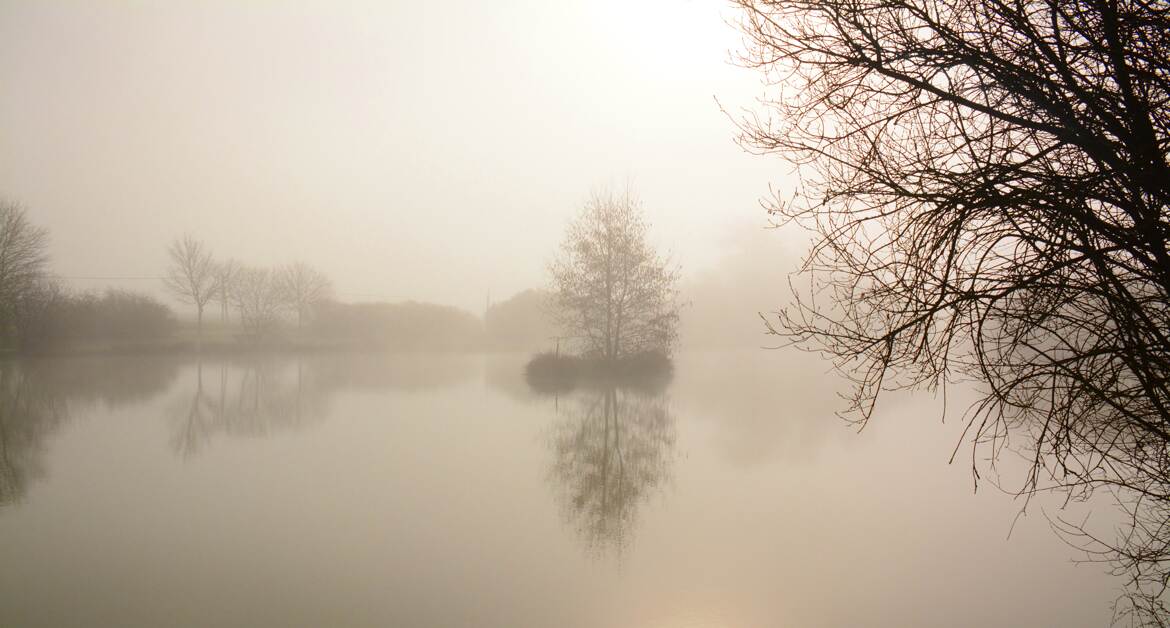 Silhouettes et reflets