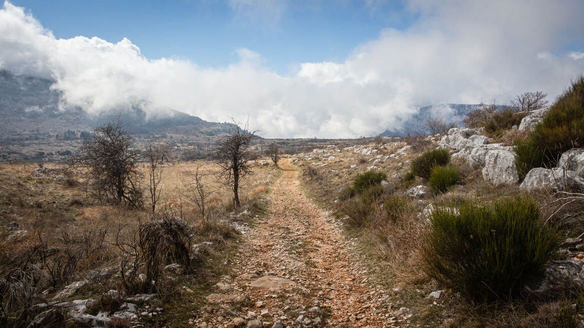 Col de Vence