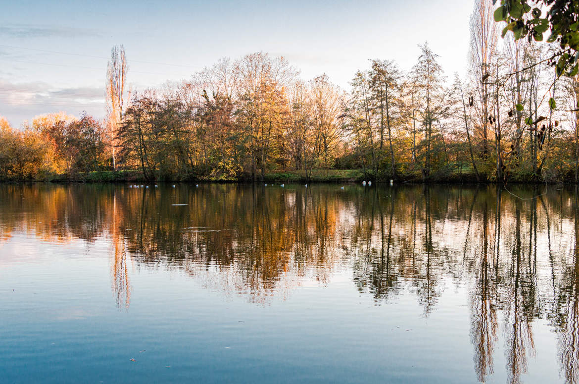 fin de journée d'automne