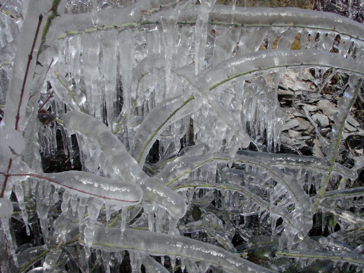 Mariage d'eau et de froid intense