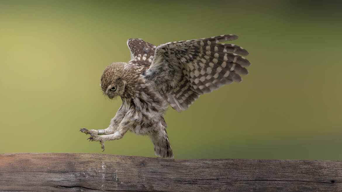 Arrivée silencieuce
