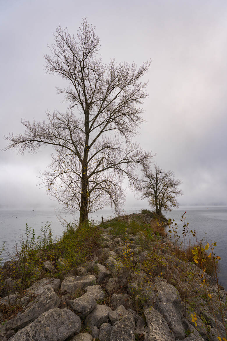 Jour gris de novembre