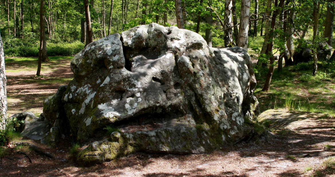 le gardien de la fôret
