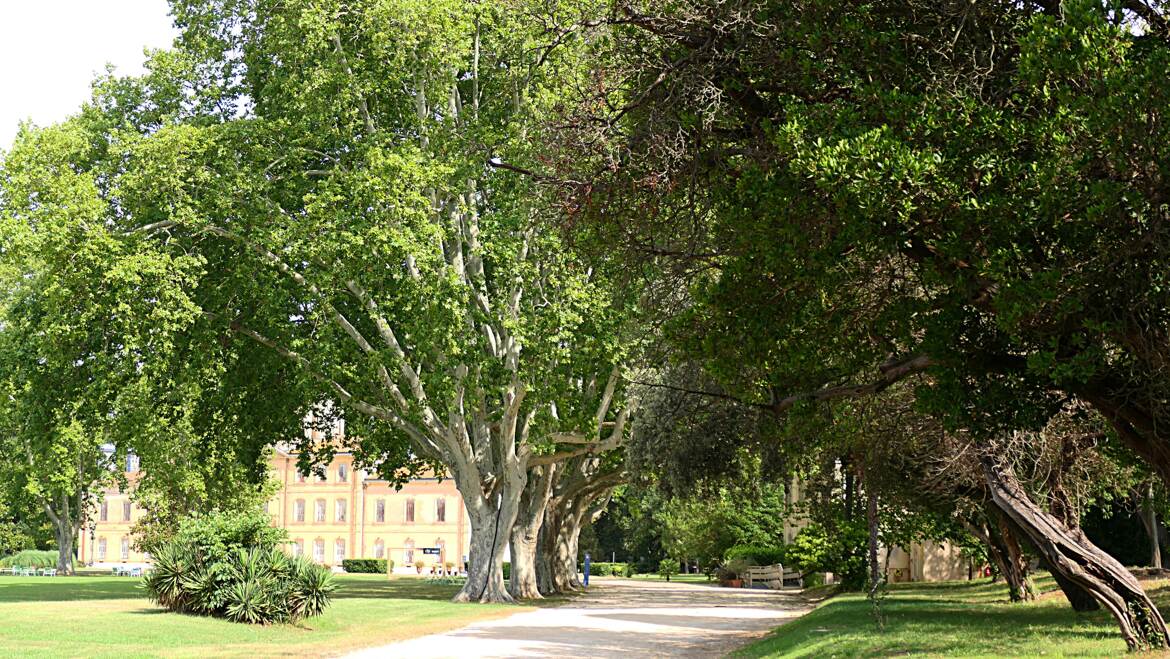 Domaine départemental du château d'Avignon