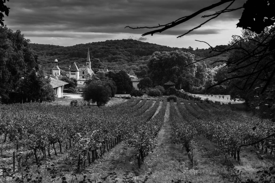 Blottie au fond de la vallée