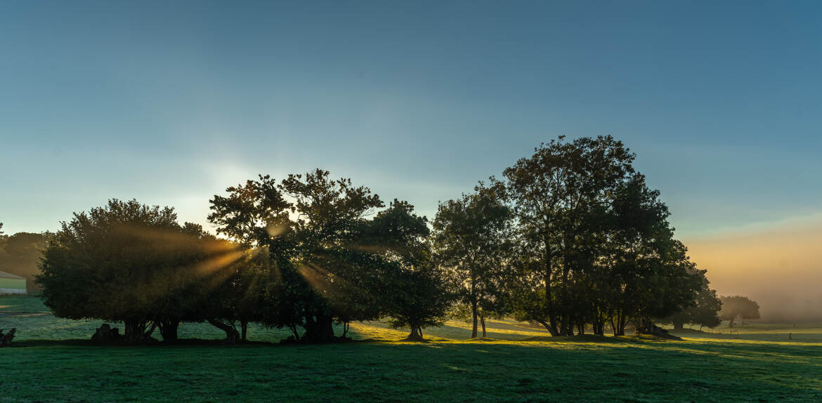 Soleil et fraicheur du matin